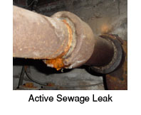 sewage leak in queens home